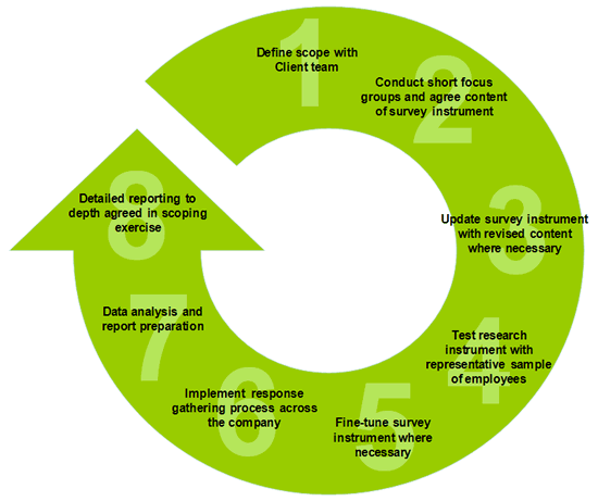 Cultiure Check Process Diagram